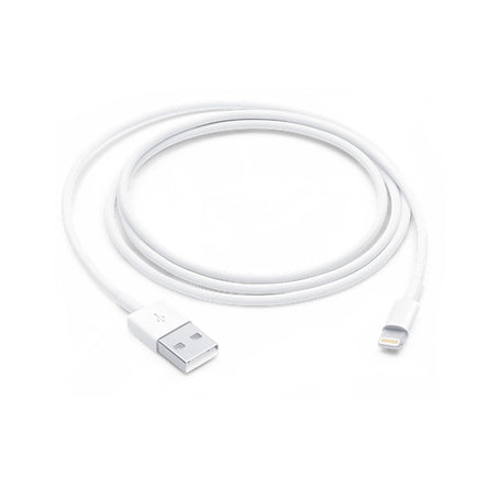 iPhone Lightning Cable